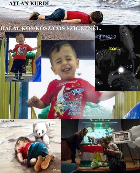 http://csillag-szeme.hupont.hu/felhasznalok_uj/2/7/273931/kepfeltoltes/aylan_kurdi_kepek.jpg?17306091