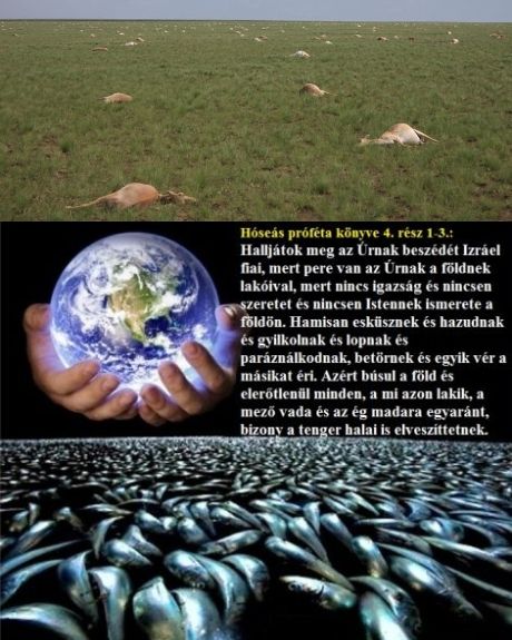 http://csillag-szeme.hupont.hu/felhasznalok_uj/2/7/273931/kepfeltoltes/hoseas_3_-_pusztulas.jpg?99204042