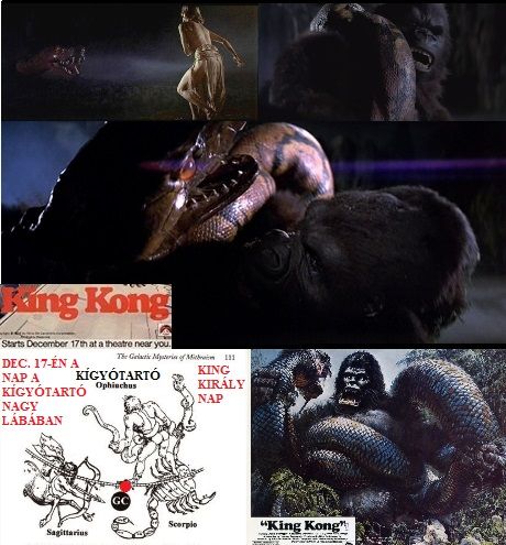 http://csillag-szeme.hupont.hu/felhasznalok_uj/2/7/273931/kepfeltoltes/king_kong_a_kigyotarto.jpg?31121736
