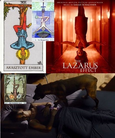 http://csillag-szeme.hupont.hu/felhasznalok_uj/2/7/273931/kepfeltoltes/lazarus_hatas_kepek_1.jpg?72445121